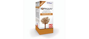 Topinulin Diabetes